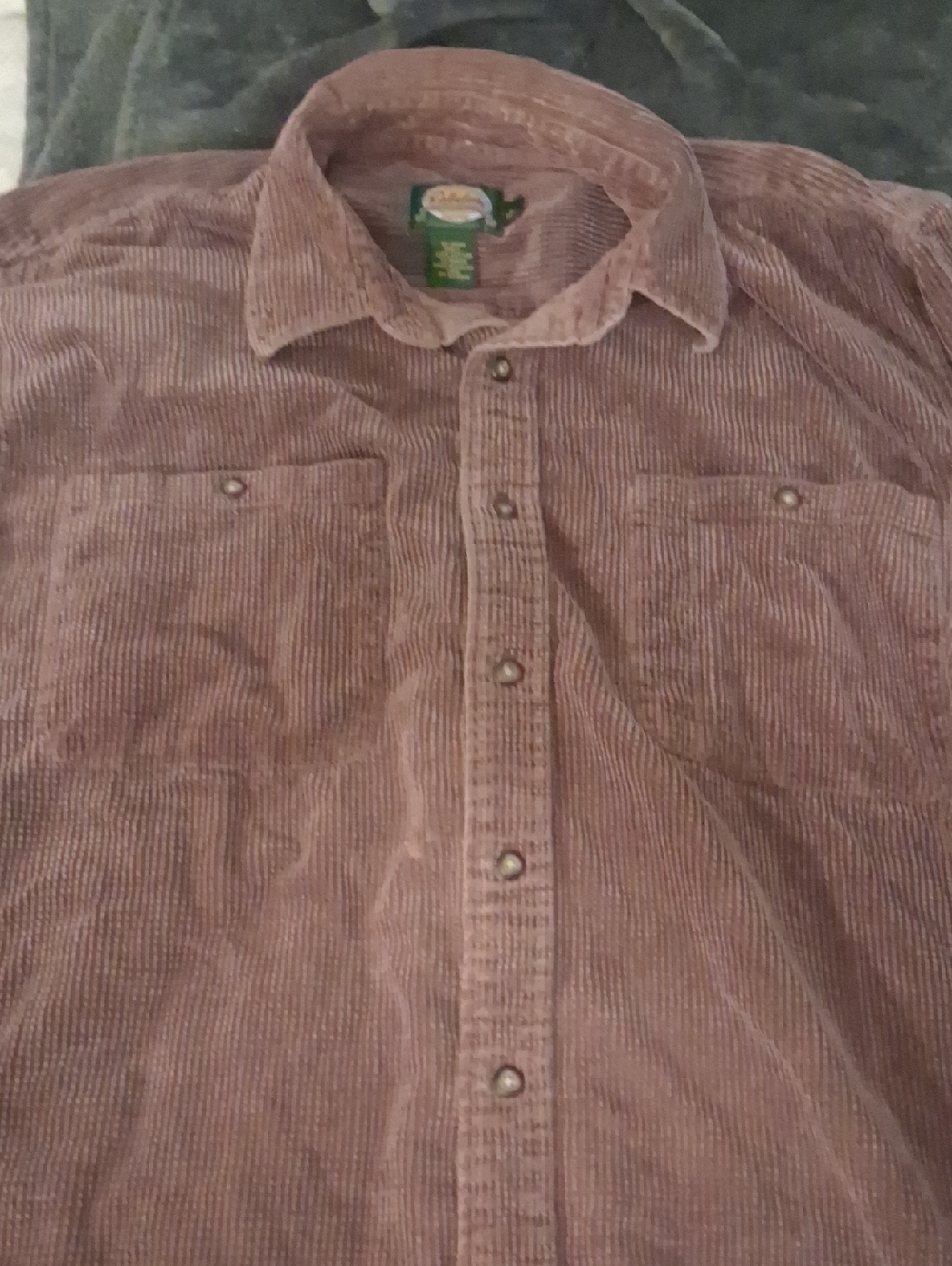 Cabela's Mens Corduroy Button-Up Shirt in Brown Size Large